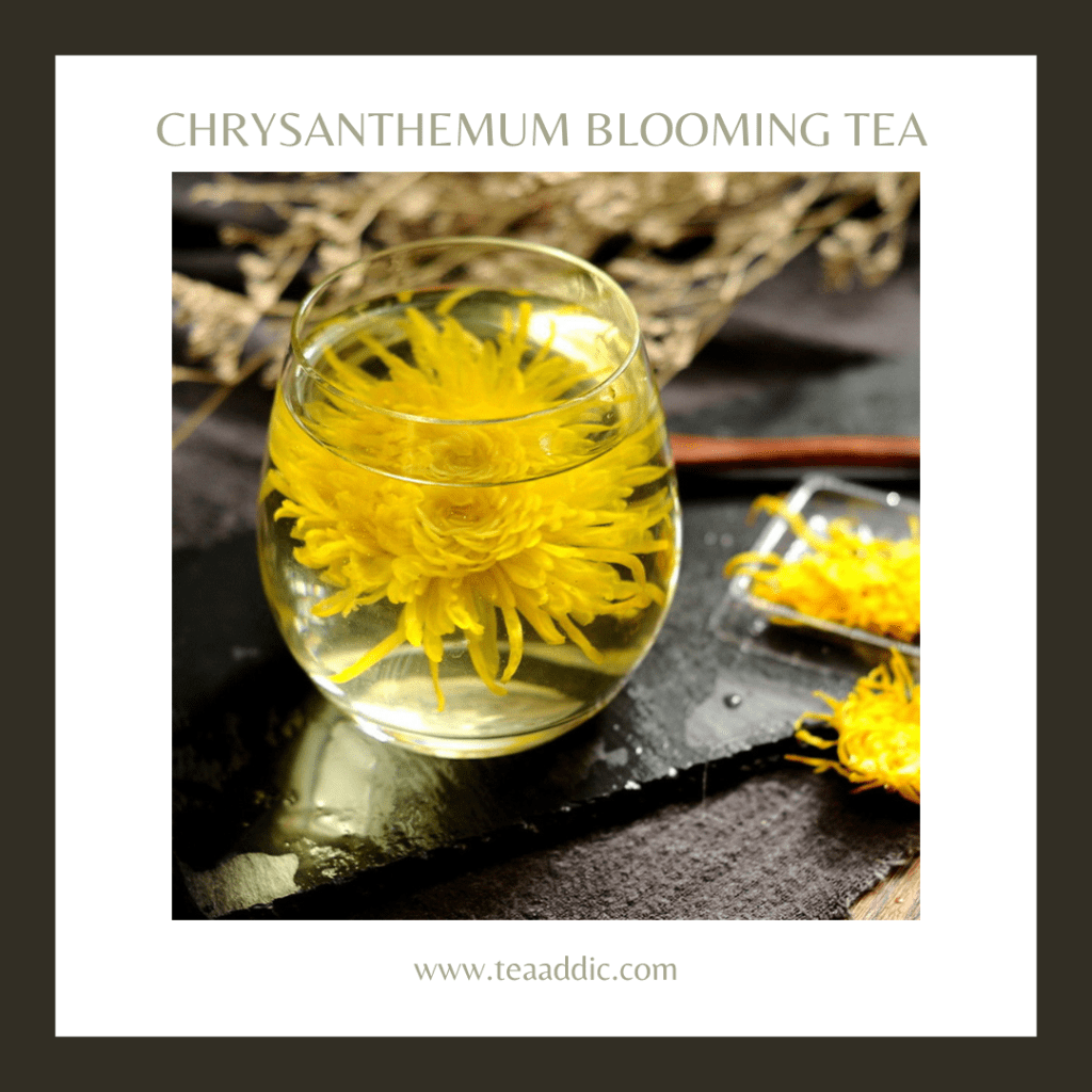 Chrysanthemum Blooming Tea