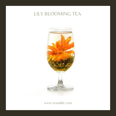 Lily Blooming Tea