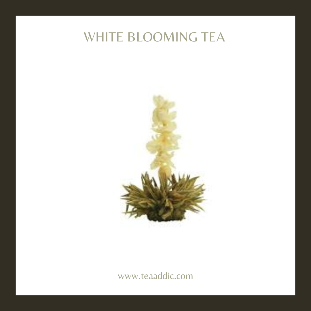 White Blooming Tea